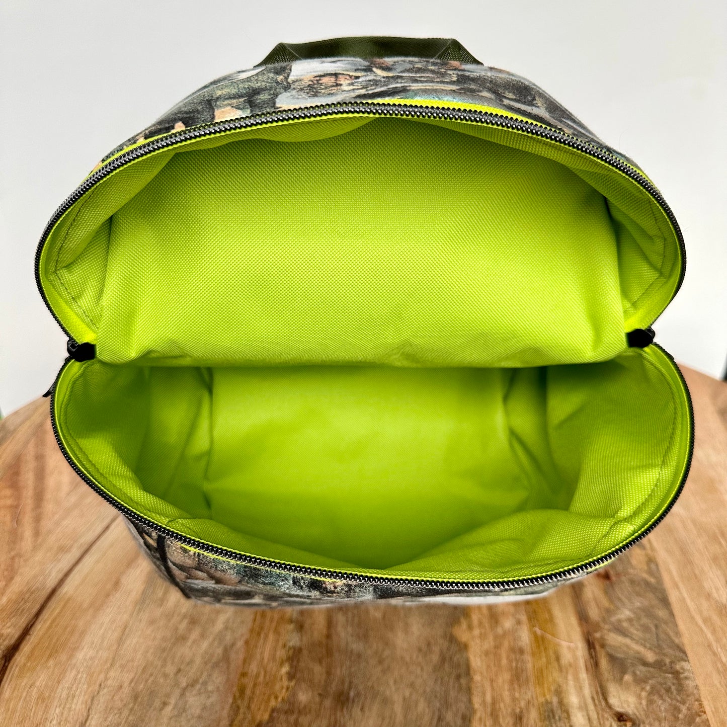 Dinosaur Backpack